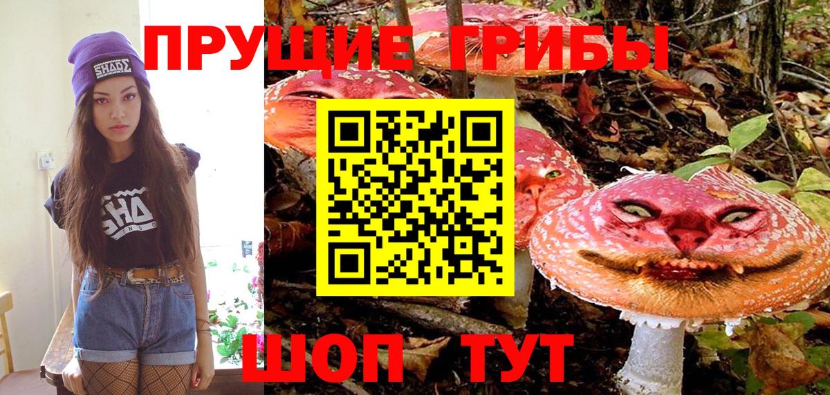 Галлюциногенные грибы ЛСД  Псилоцибиновые грибы Psilocybine cubensis  Гай  Вход с VPN 